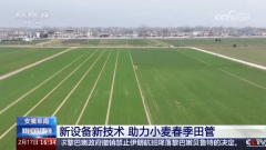 央视高频聚焦！解码安徽阜南农业“五次出圈”